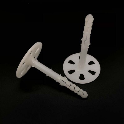 China Stainless Steel Screws Plastic Nylon Wall Plug Anchor Drywall Insulation Dowel Board Nails Anchors Fixing Insulation Nail